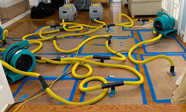Professional Basement Flood Cleanup technician working in Zumbrota, MN
